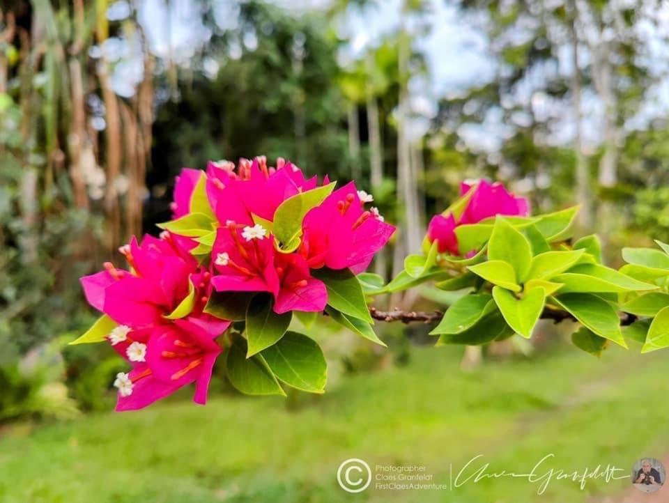 Phurin Thara Resort Koh Lanta Exterior foto